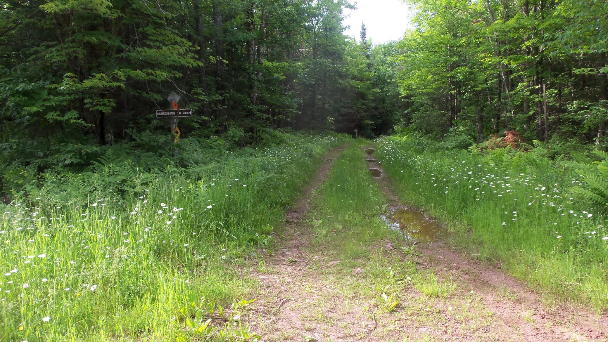 90 Acres Kornstead Rd, Mellen, Wisconsin image 41