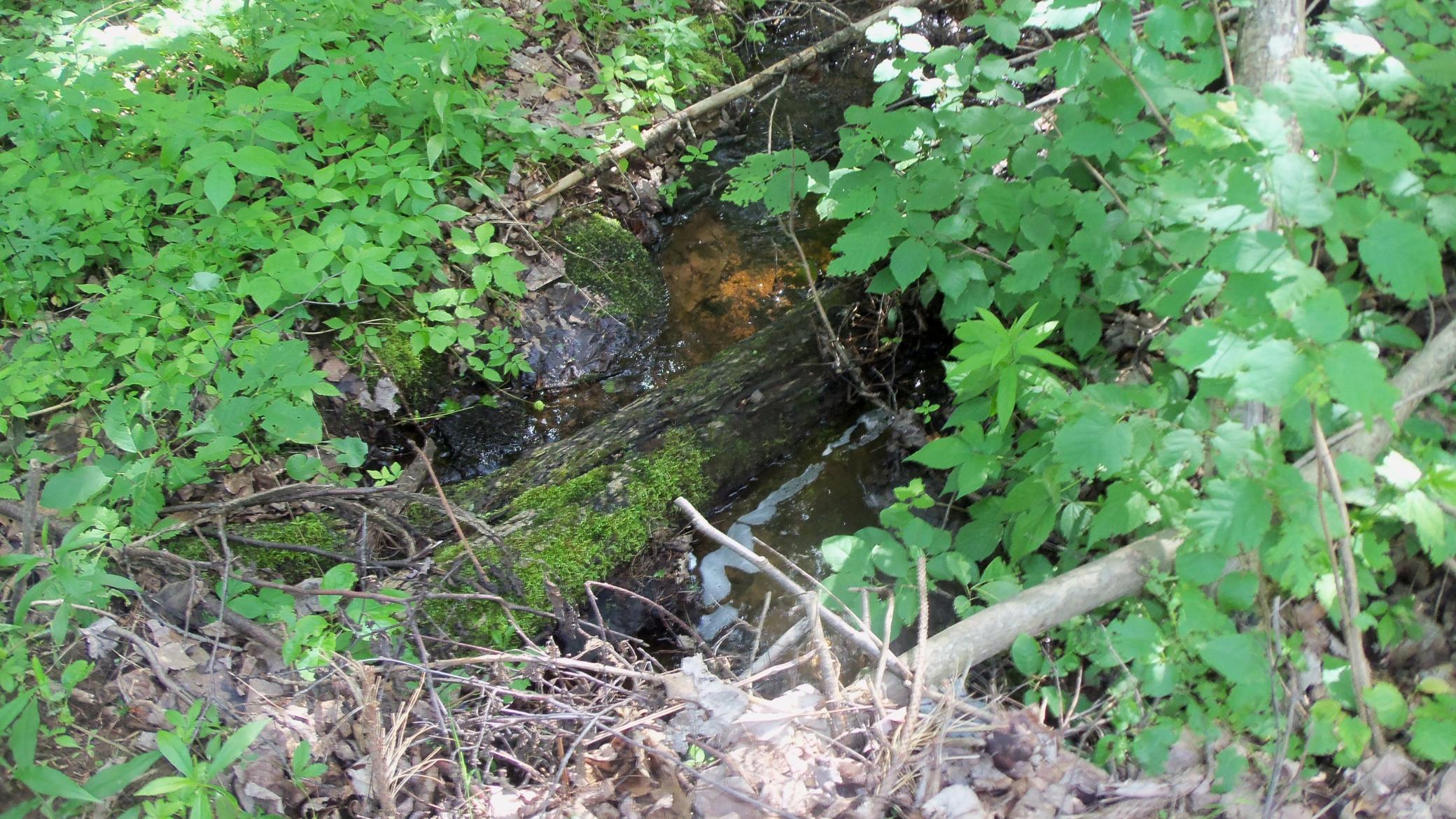 90 Acres Kornstead Rd, Mellen, Wisconsin image 32