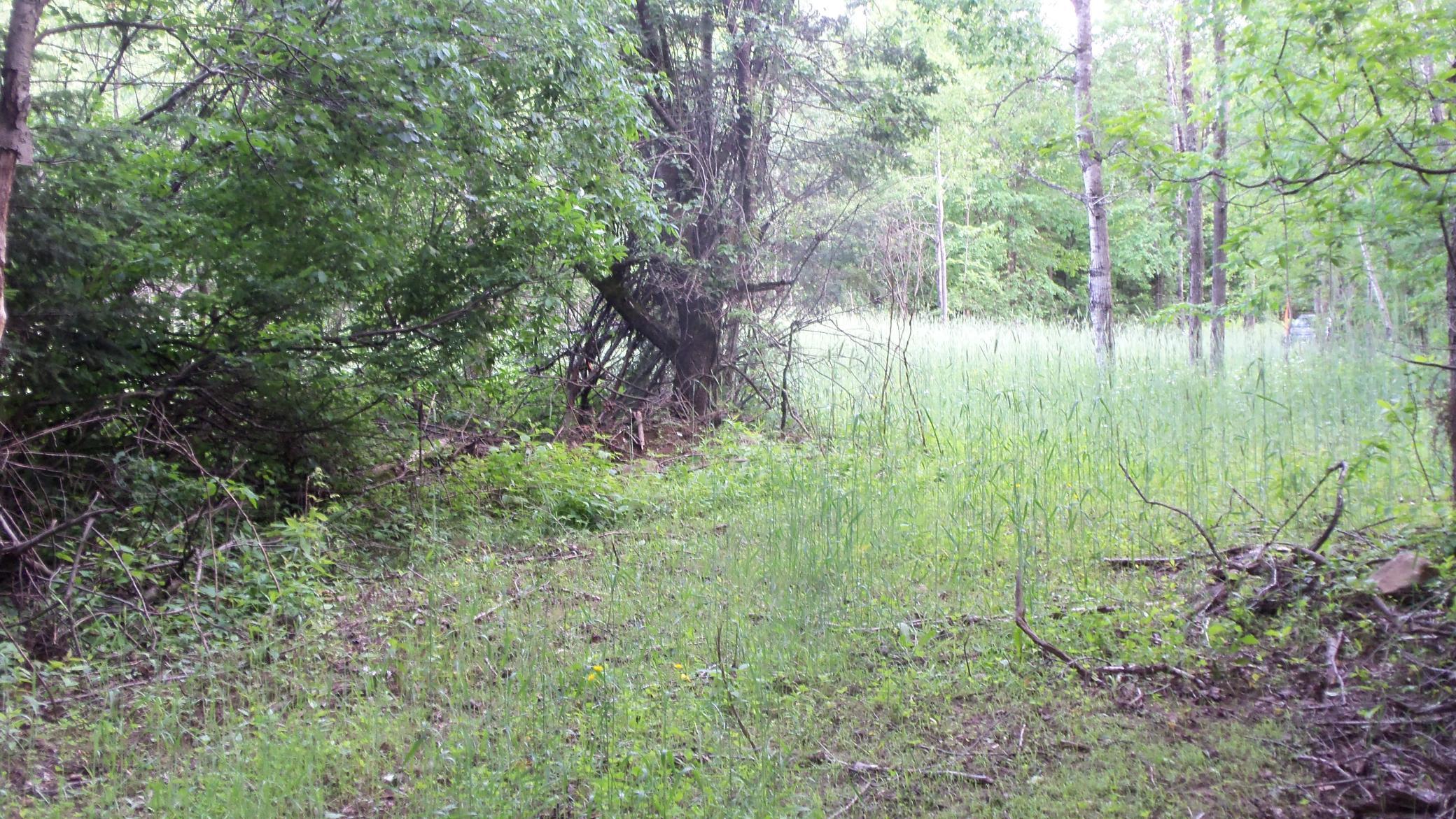 90 Acres Kornstead Rd, Mellen, Wisconsin image 15