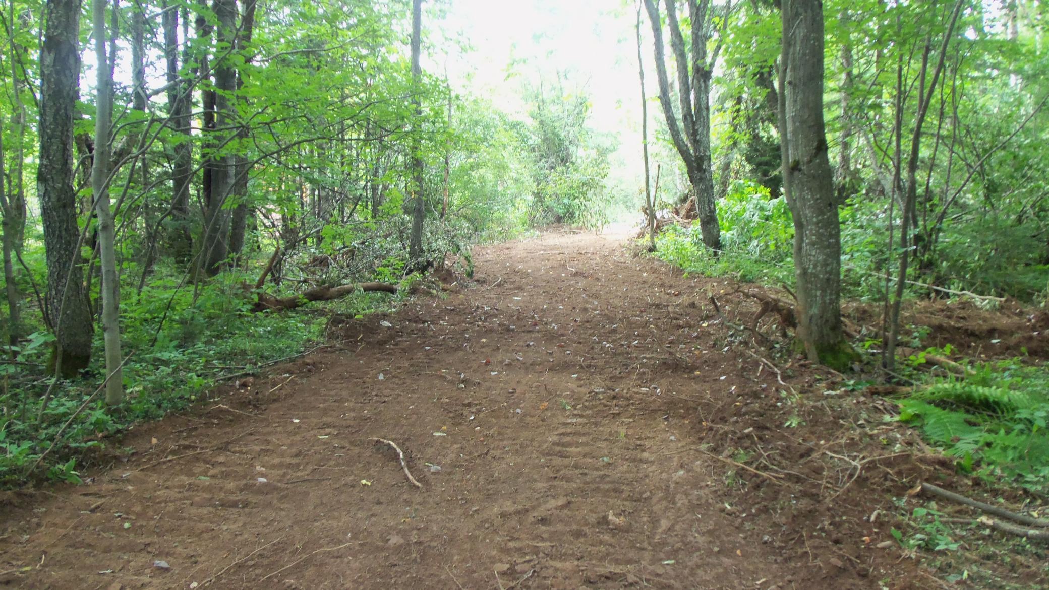 90 Acres Kornstead Rd, Mellen, Wisconsin image 3
