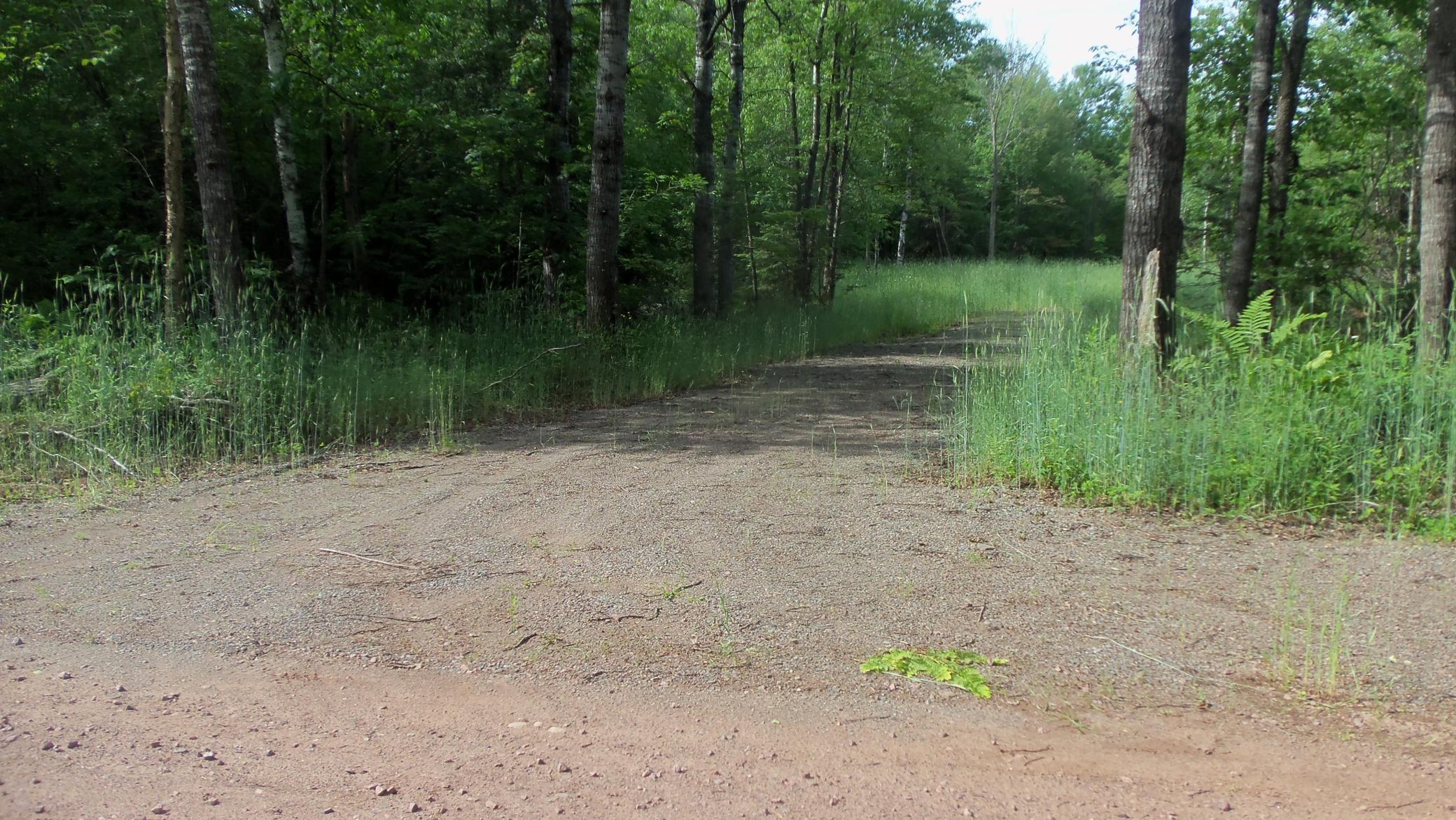 90 Acres Kornstead Rd, Mellen, Wisconsin image 26