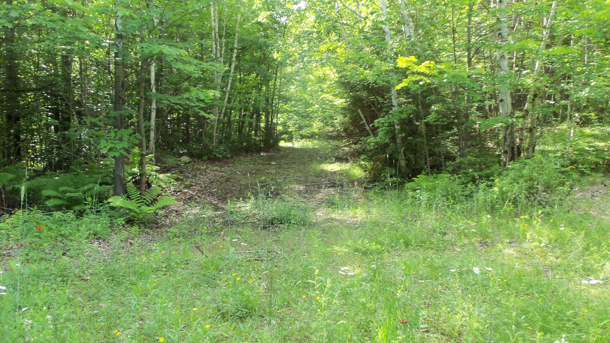 90 Acres Kornstead Rd, Mellen, Wisconsin image 34