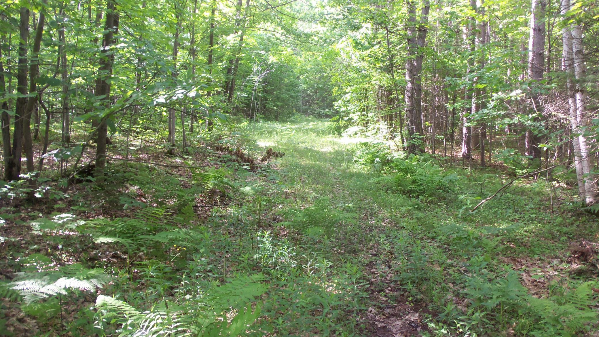 90 Acres Kornstead Rd, Mellen, Wisconsin image 37