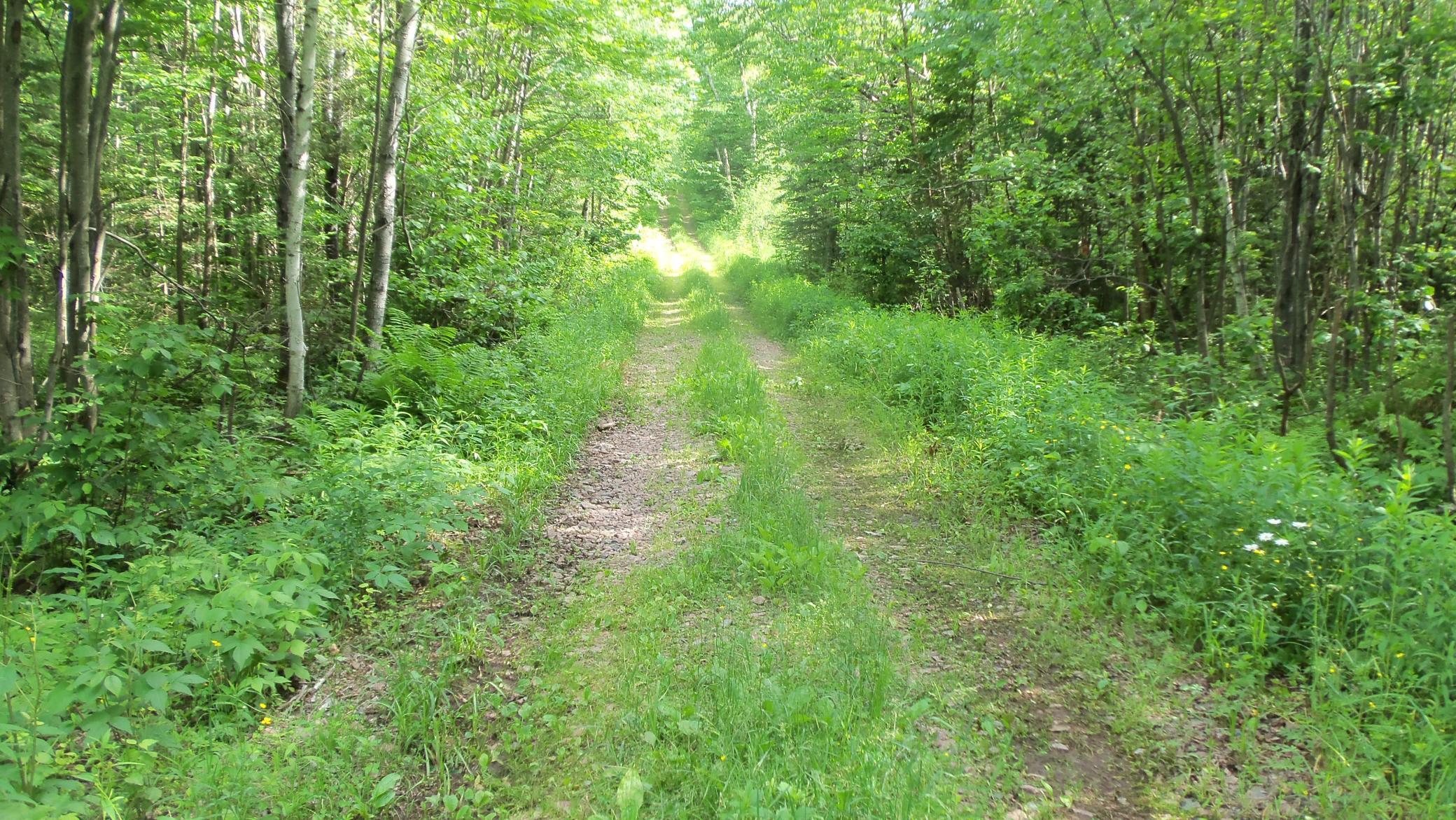 90 Acres Kornstead Rd, Mellen, Wisconsin image 27