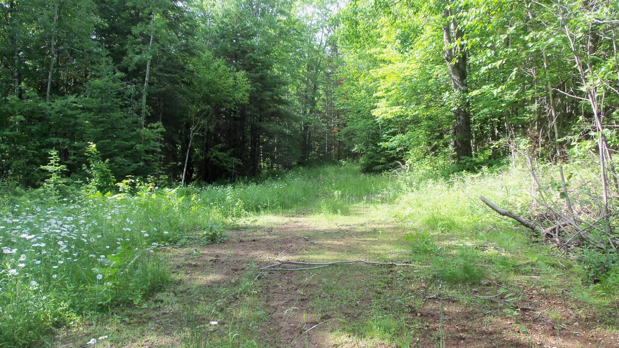 90 Acres Kornstead Rd, Mellen, Wisconsin image 29