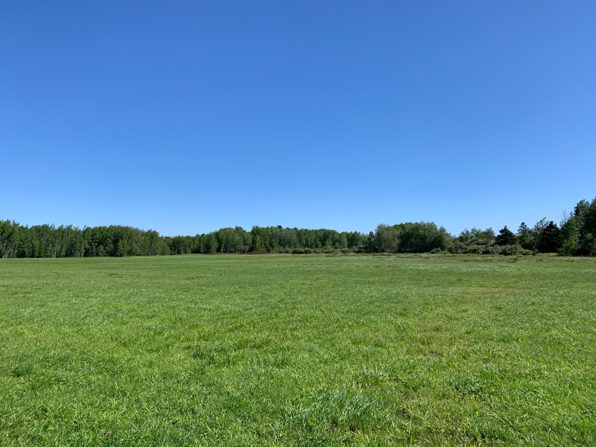 2000 County Road 6, Barnum, Minnesota image 37