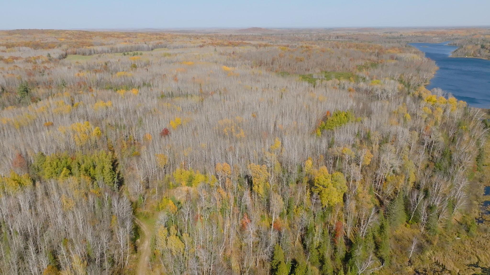 XXX Tbd, Goodland, Minnesota image 5