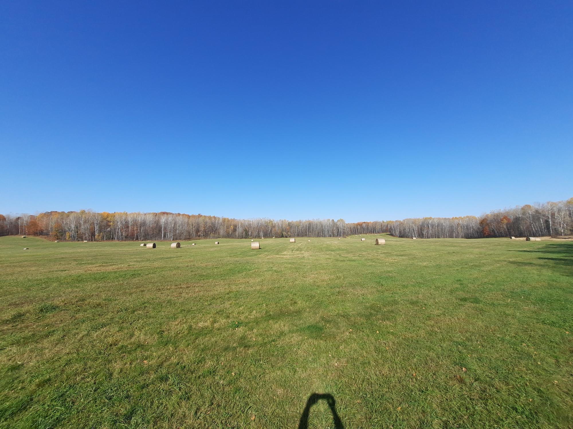 XXX Tbd, Goodland, Minnesota image 3
