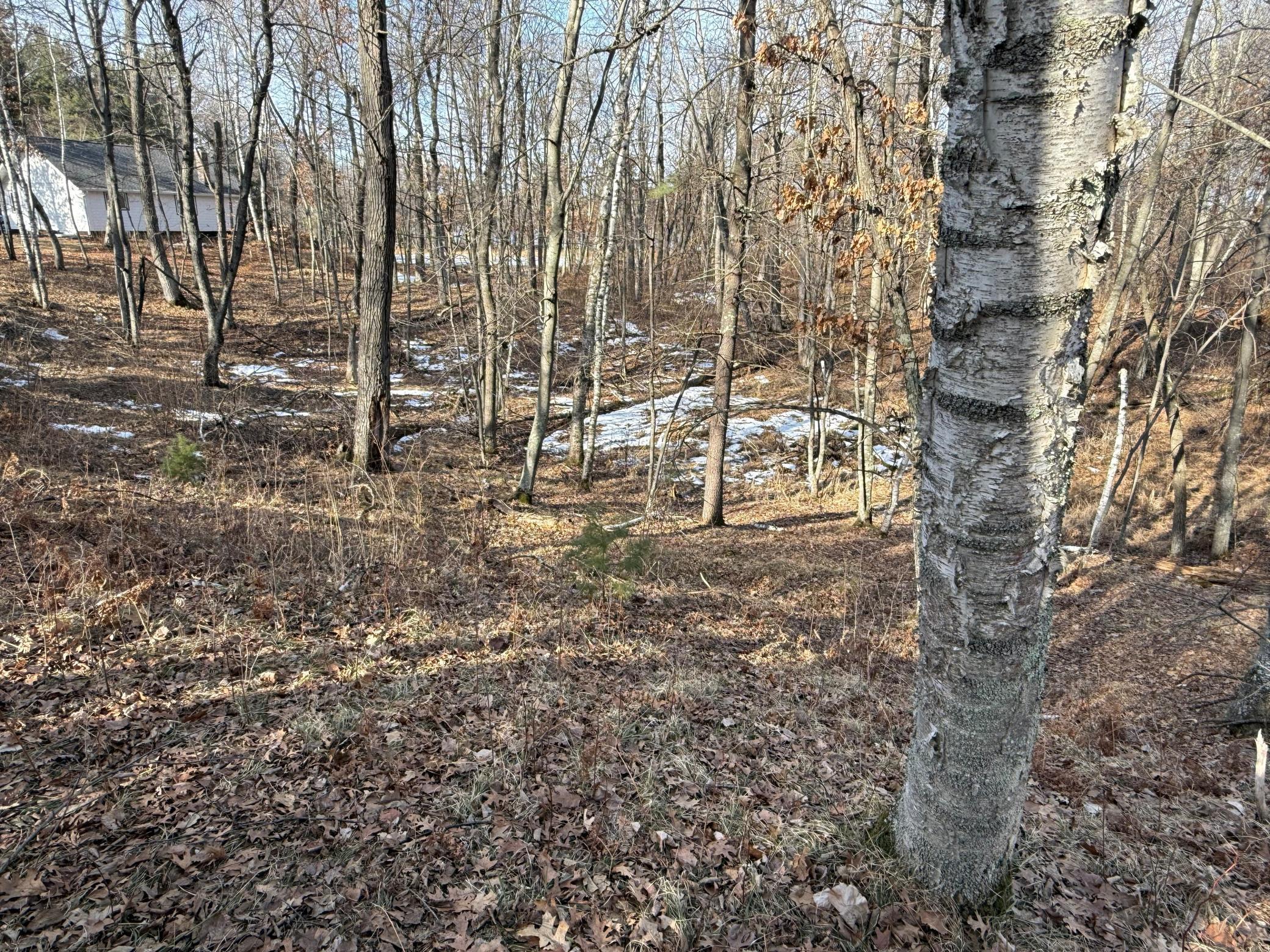 TBD County Road 4, Pequot Lakes, Minnesota image 10
