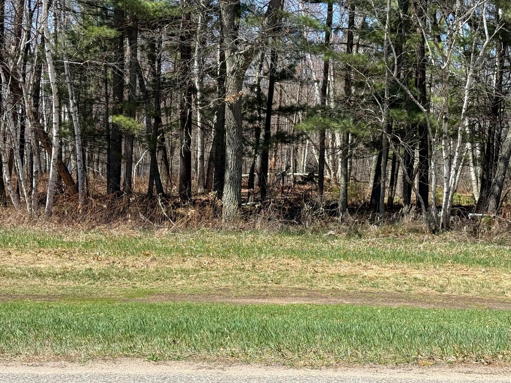 TBD County Road 4, Pequot Lakes, Minnesota image 1