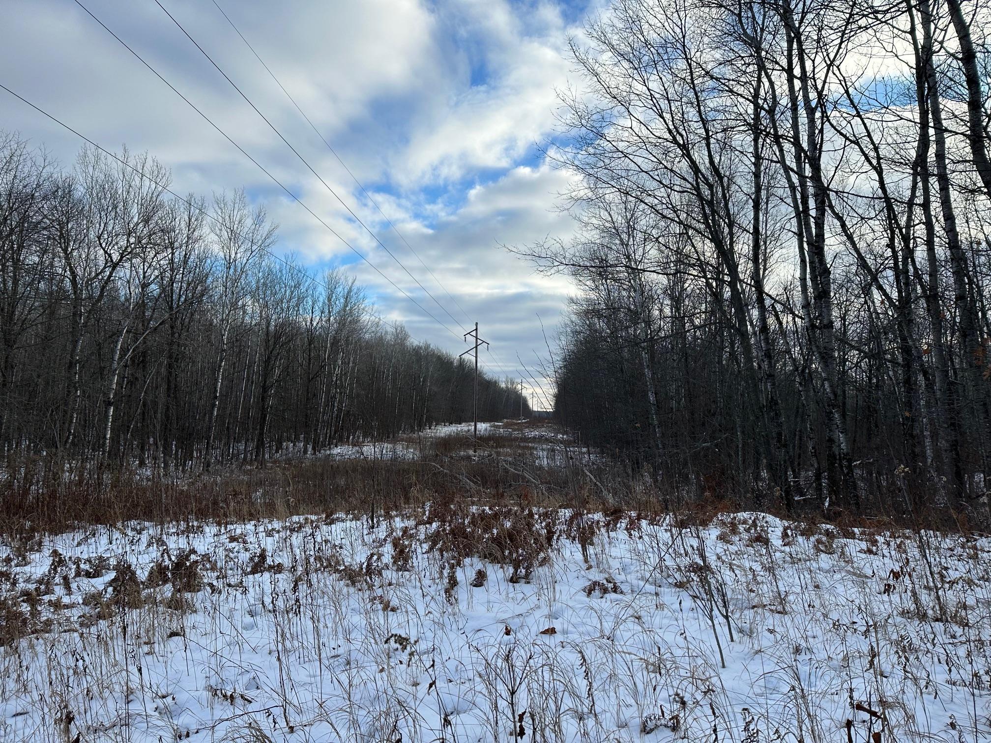 XX Old Grade Road, Pine River, Minnesota image 7