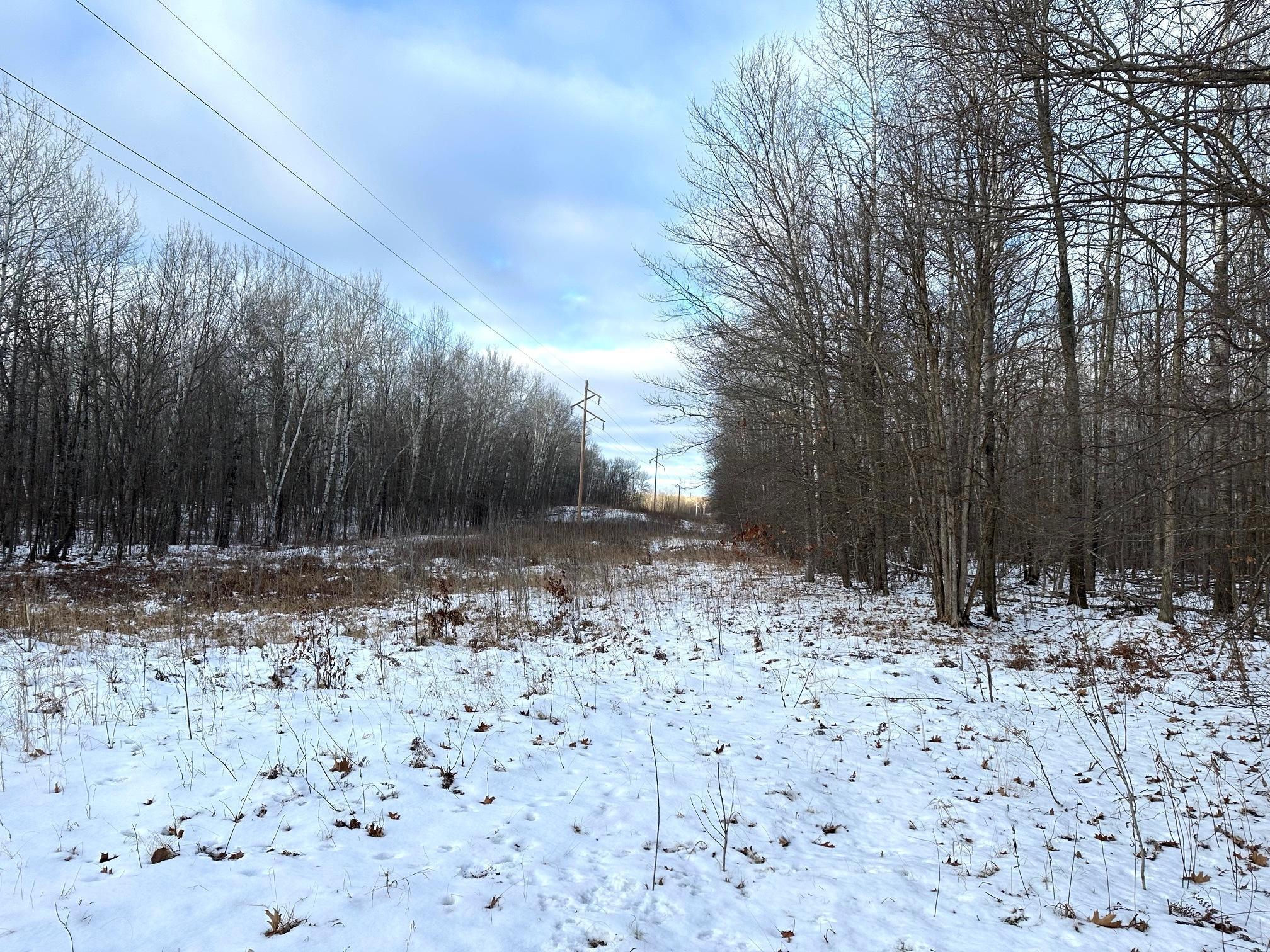 XX Old Grade Road, Pine River, Minnesota image 32