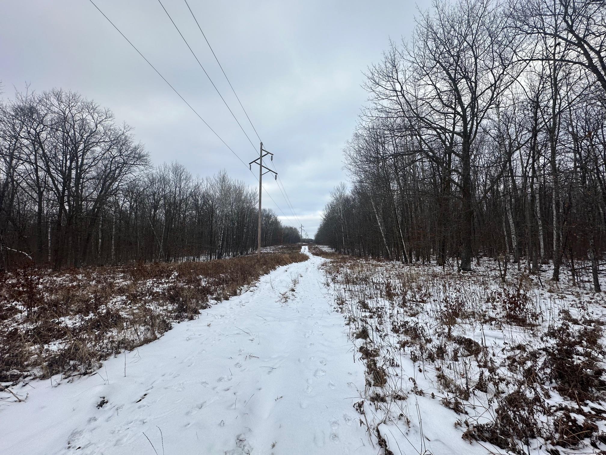 XX Old Grade Road, Pine River, Minnesota image 11