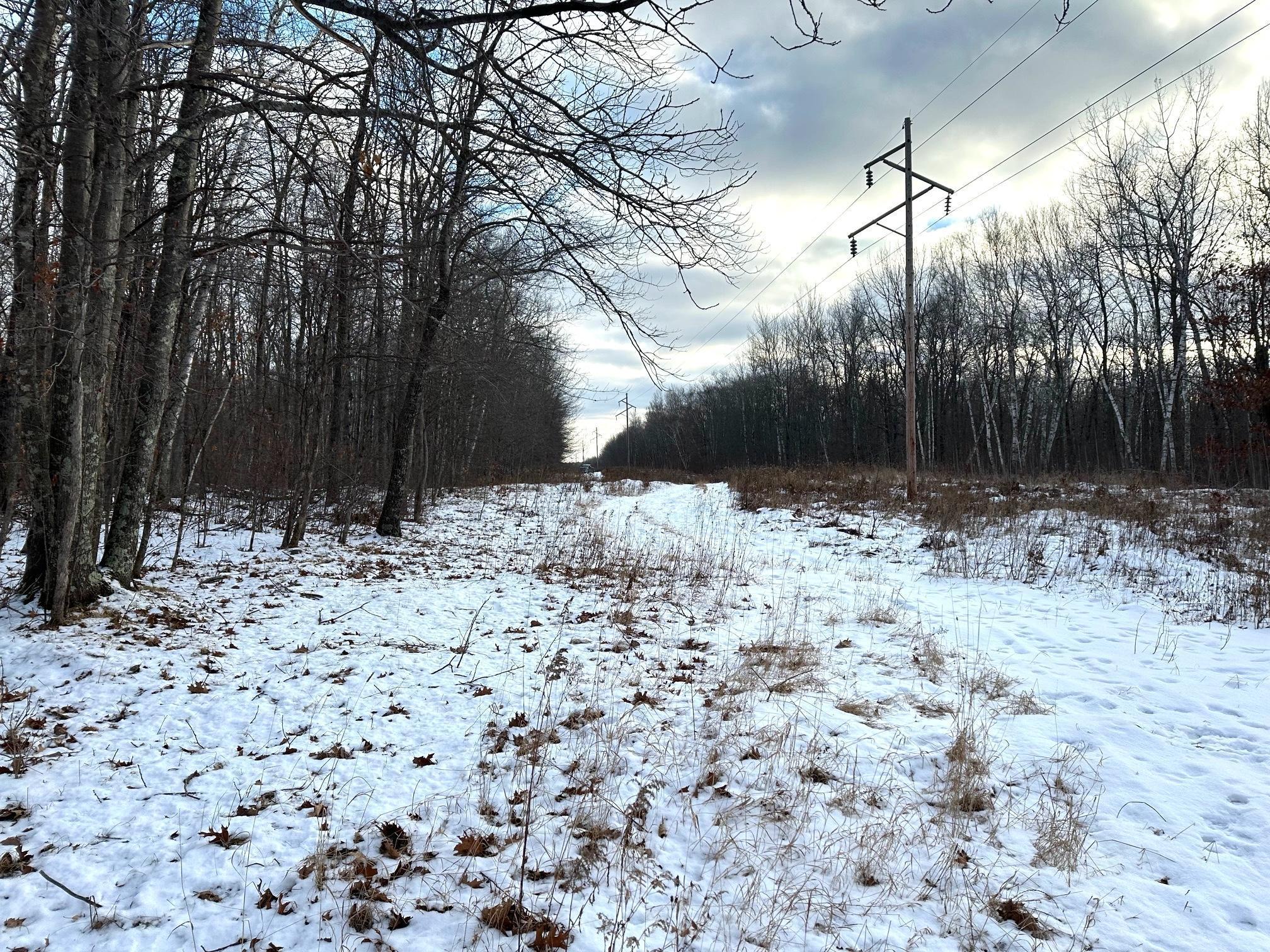 XX Old Grade Road, Pine River, Minnesota image 33