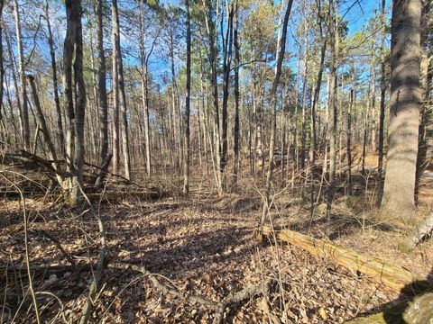 Vacant Land For Sale - TBD N John Erickson Avenue<br/> Sawyer County, Hayward, WI 54843