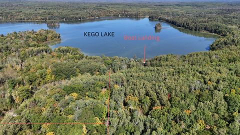 Vacant Land For Sale - 42305 Kego Lake Road<br/> Fifty Lakes, MN 56448