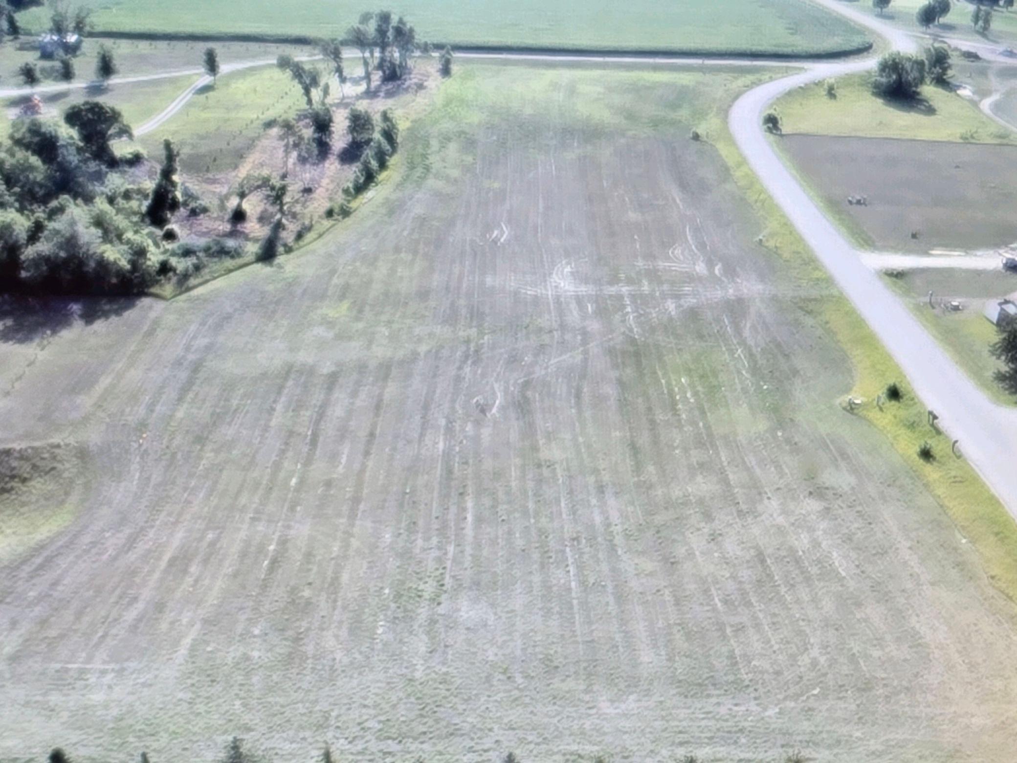 Lot 4 Golf Course Road, Elbow Lake, Minnesota image 6