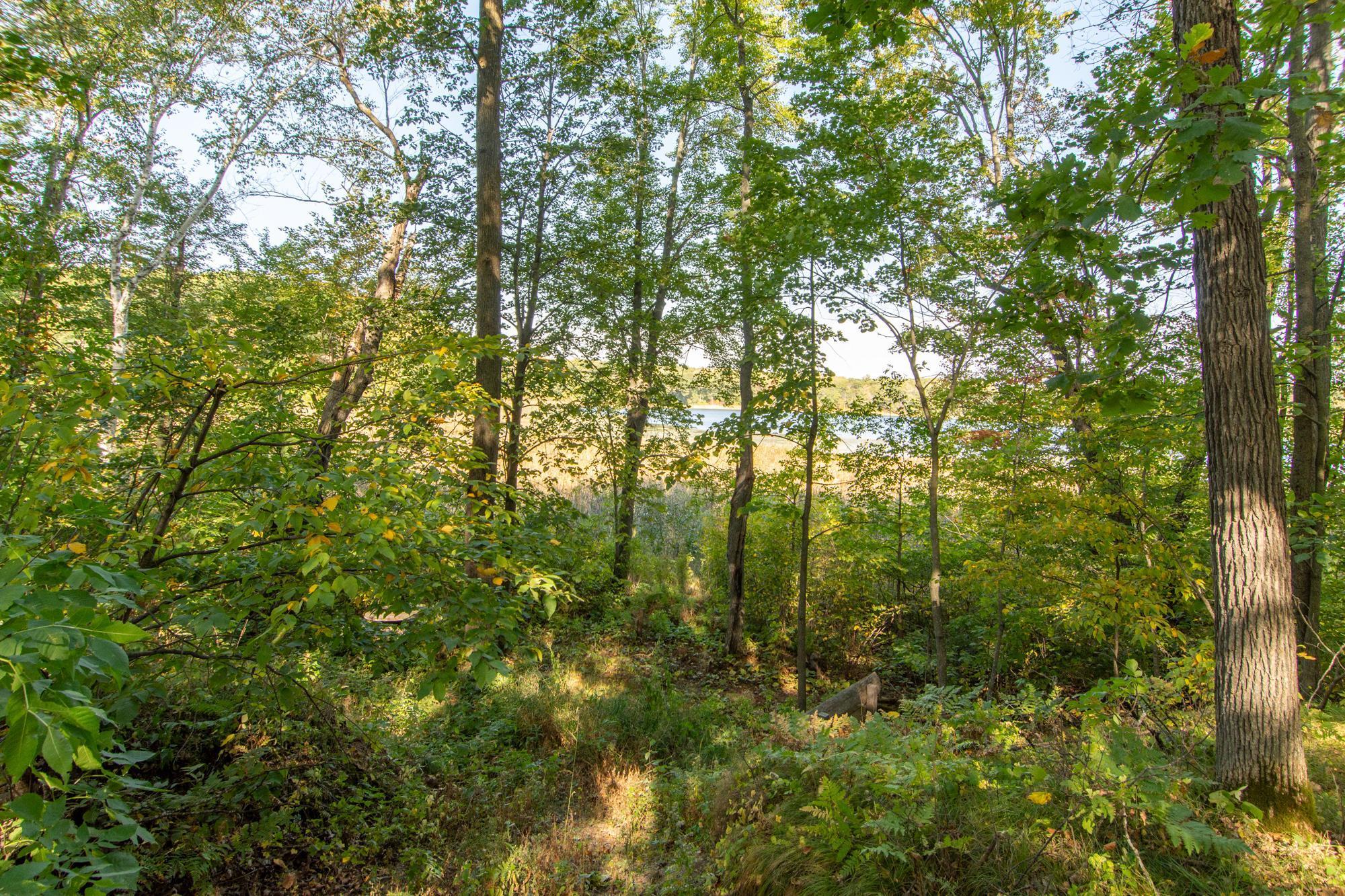 3007 Thoroughfare Drive, Cushing, Minnesota image 46