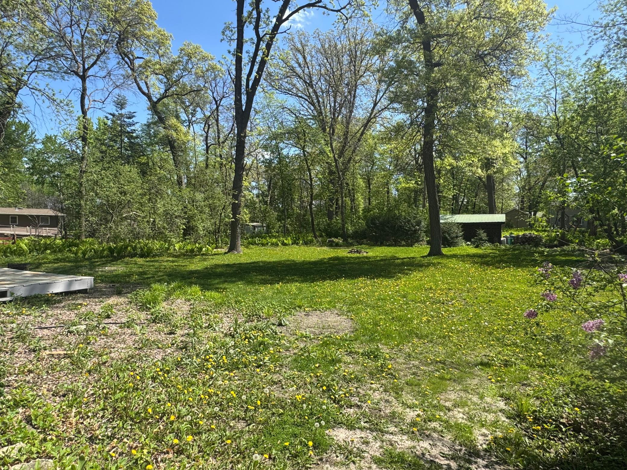 1725 Woodlawn Avenue, Owatonna, Minnesota image 23
