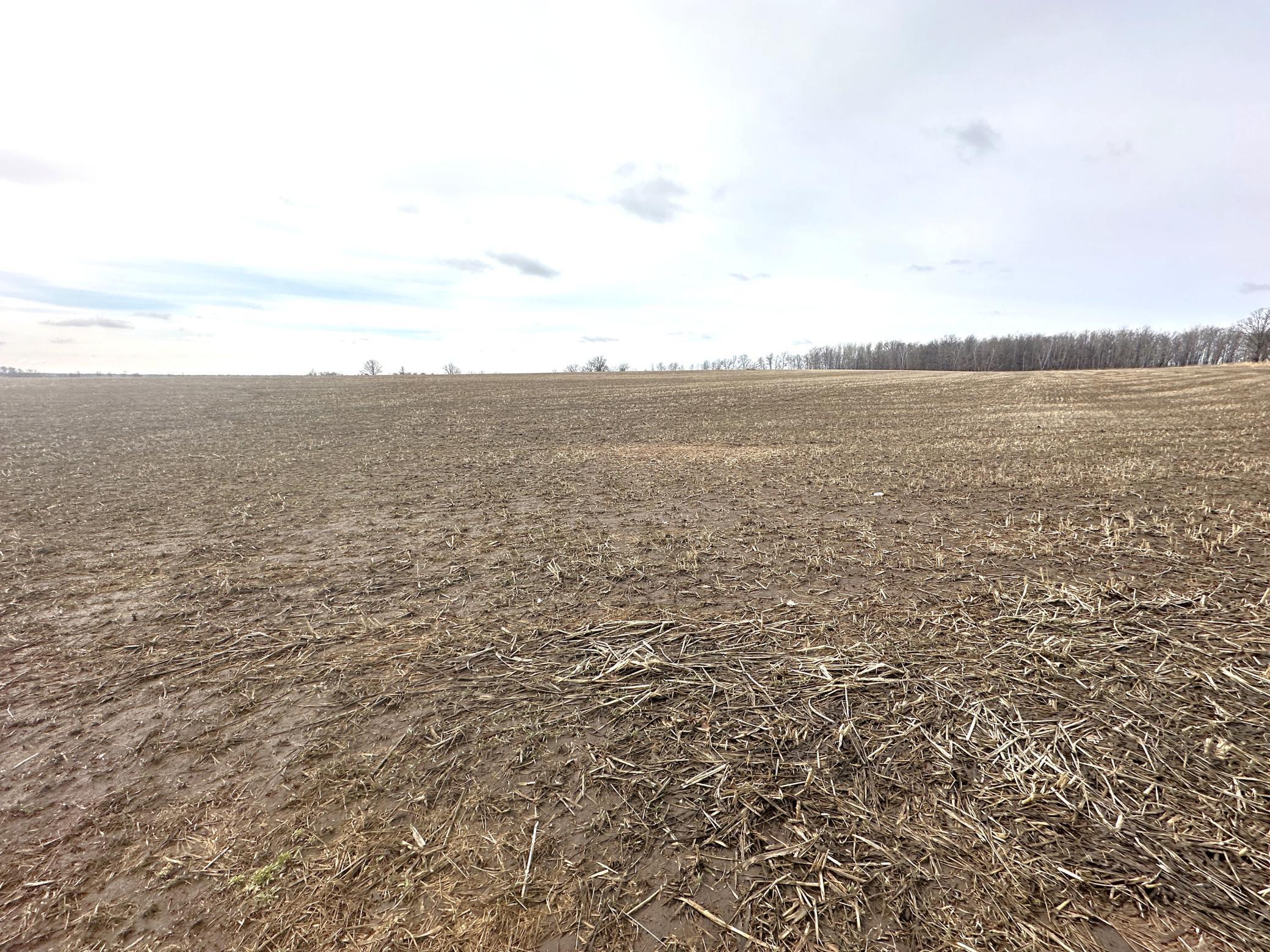XXXX 440th Street, Wadena, Minnesota image 10