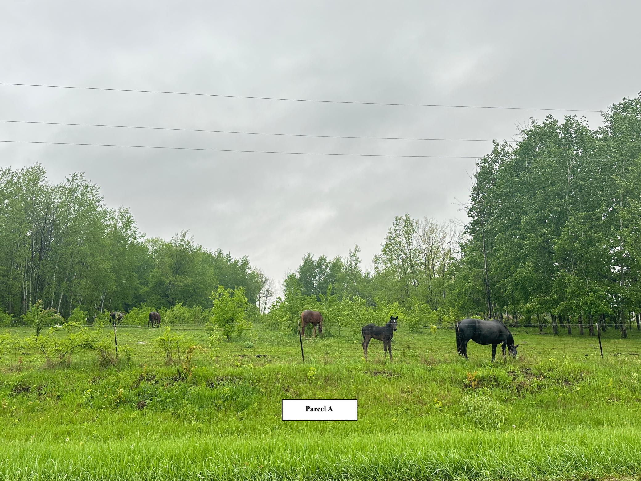 XXXX 440th Street, Wadena, Minnesota image 3