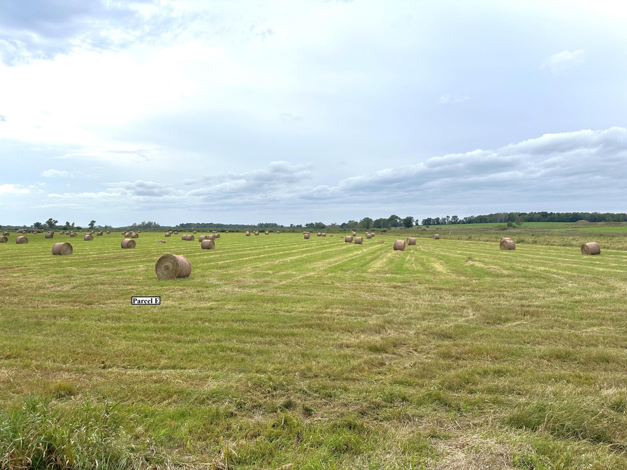 XXXX 440th Street, Wadena, Minnesota image 14