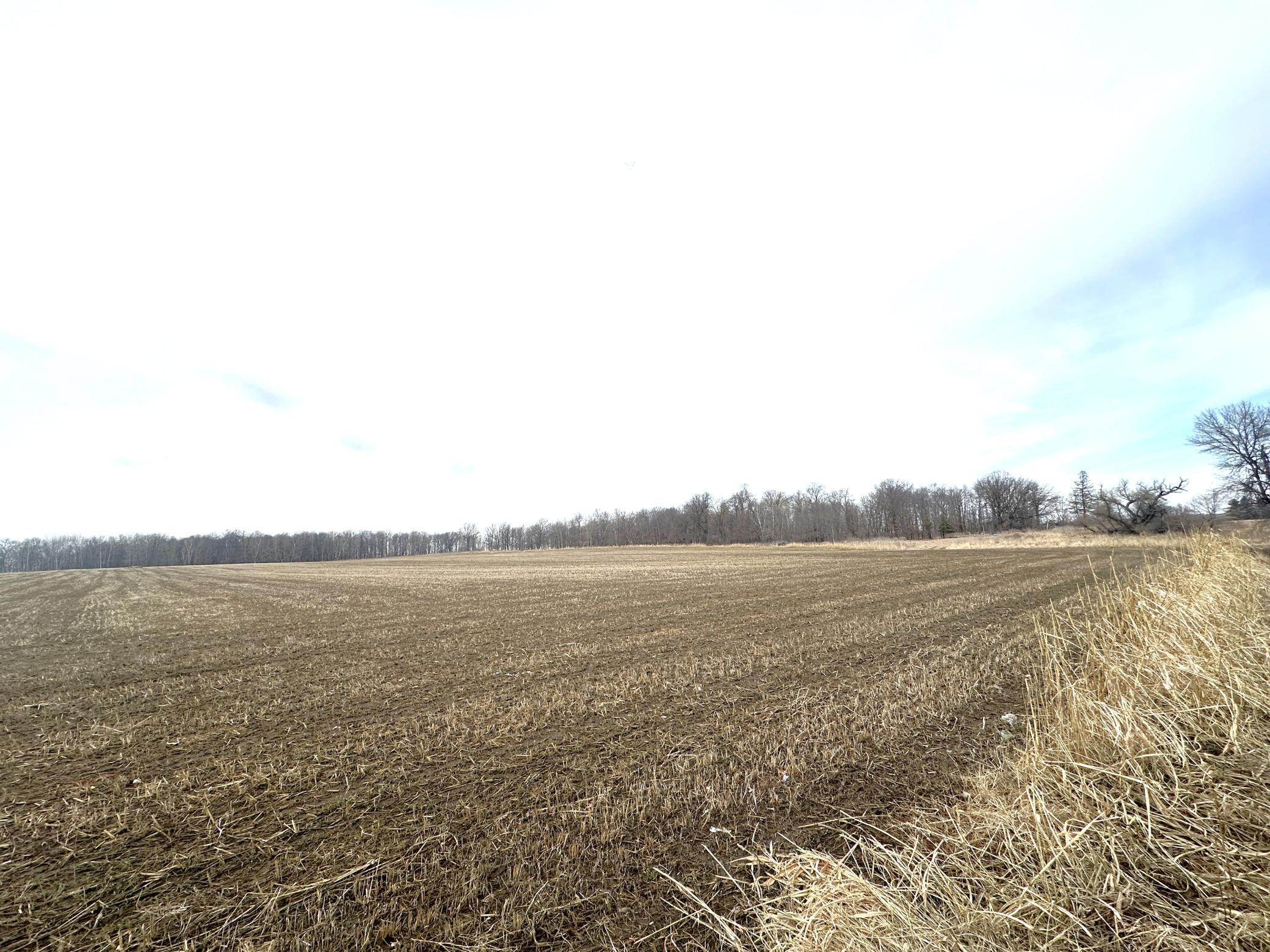 XXXX 440th Street, Wadena, Minnesota image 9