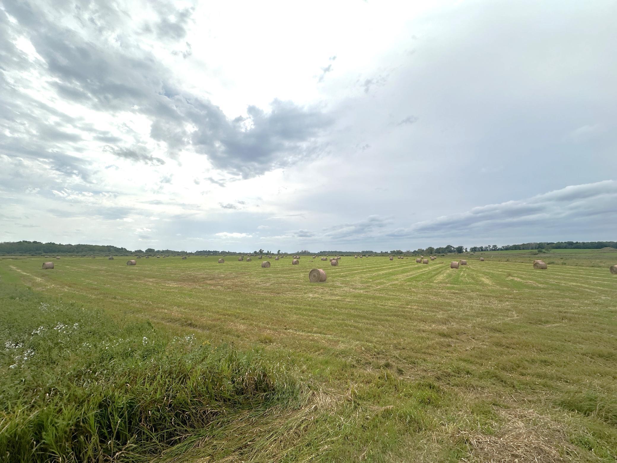 XXXX 440th Street, Wadena, Minnesota image 15