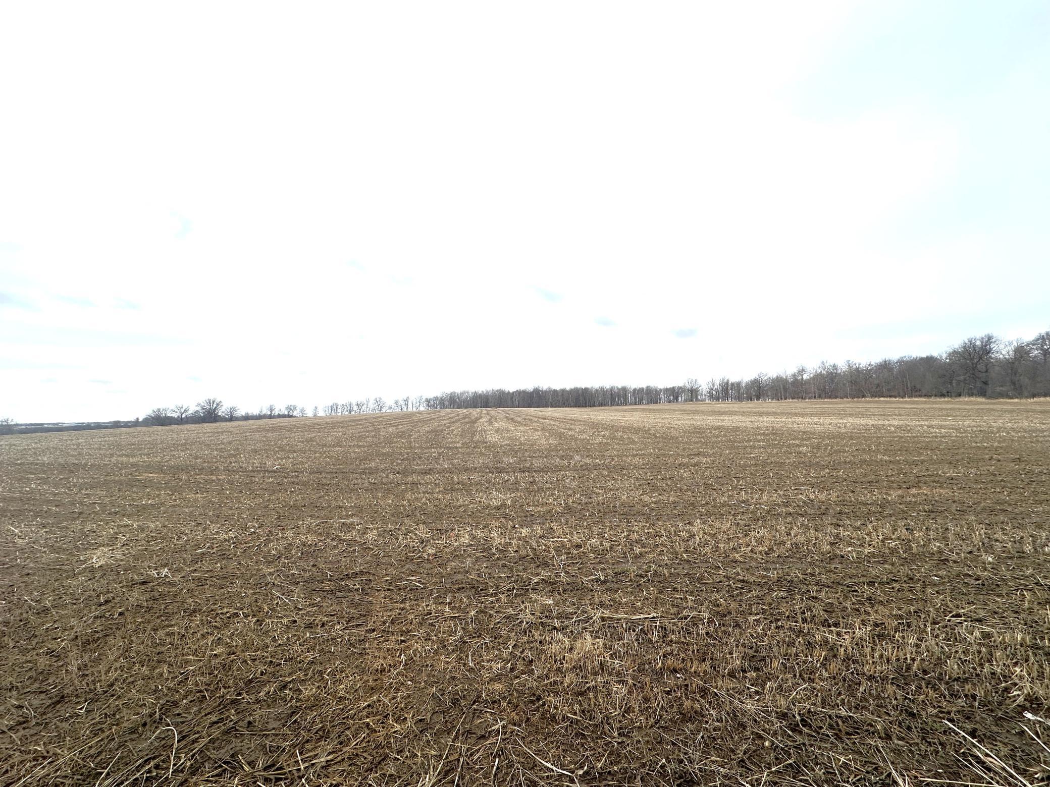 XXXX 440th Street, Wadena, Minnesota image 11