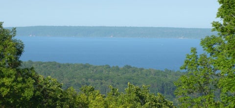 Vacant Land For Sale - 83XXX - LOT 11 Ashwabay Road<br/> Bayfield County, Bayfield, WI 54814