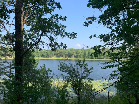 Vacant Land For Sale - 1888 Trillium Drive<br/> Hackensack, MN 56452