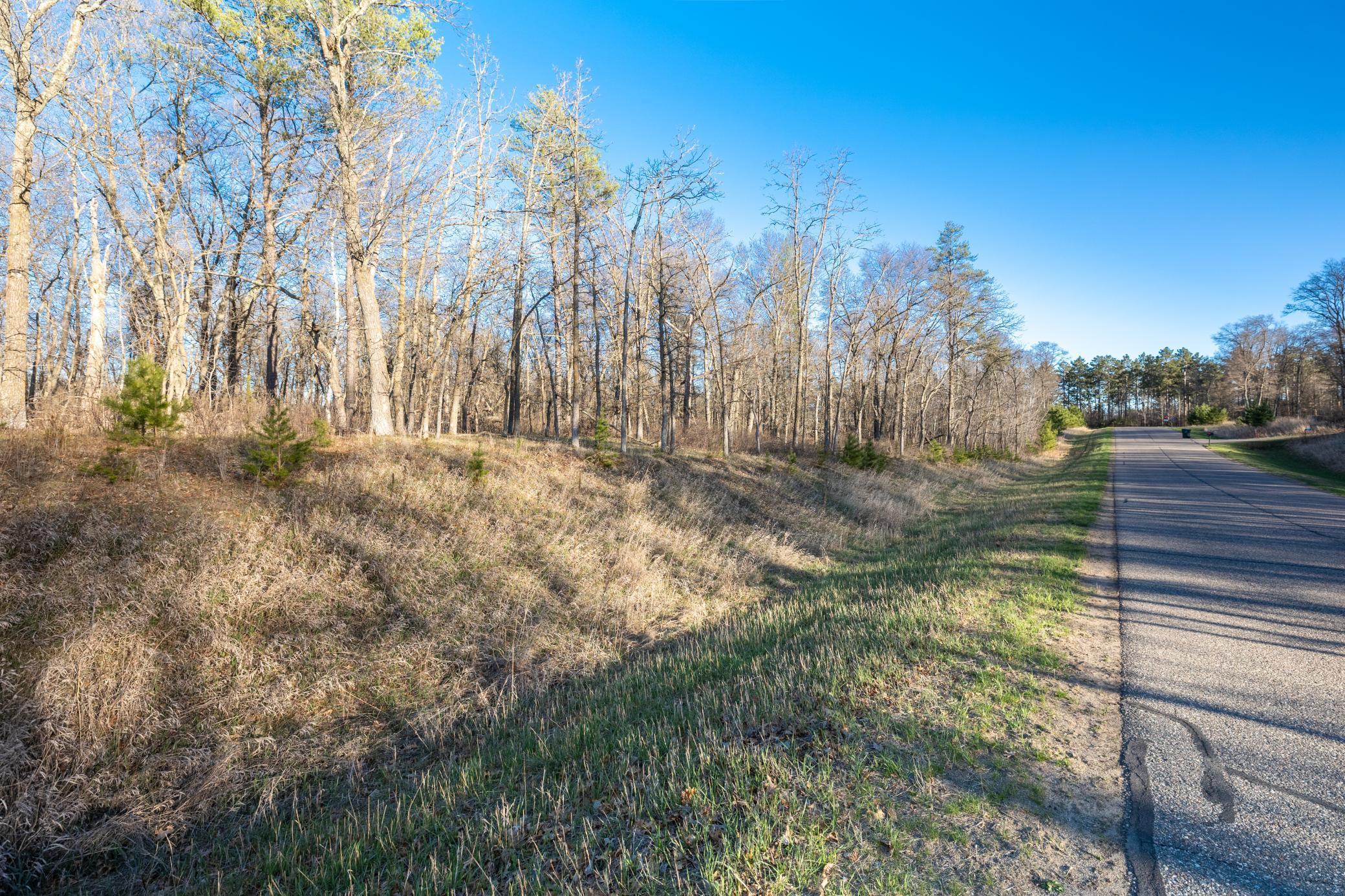 Lot 5 Bl 1 Xxx Lincoln Drive, Pillager, Minnesota image 3