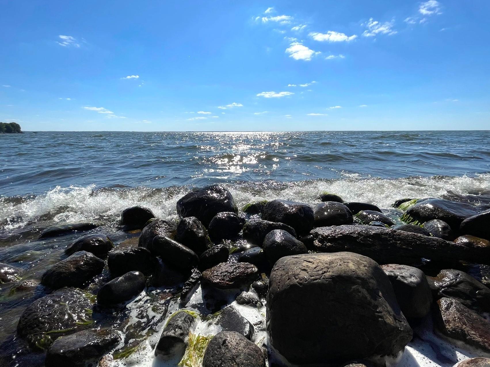 Pine Island, Isle, Minnesota image 6