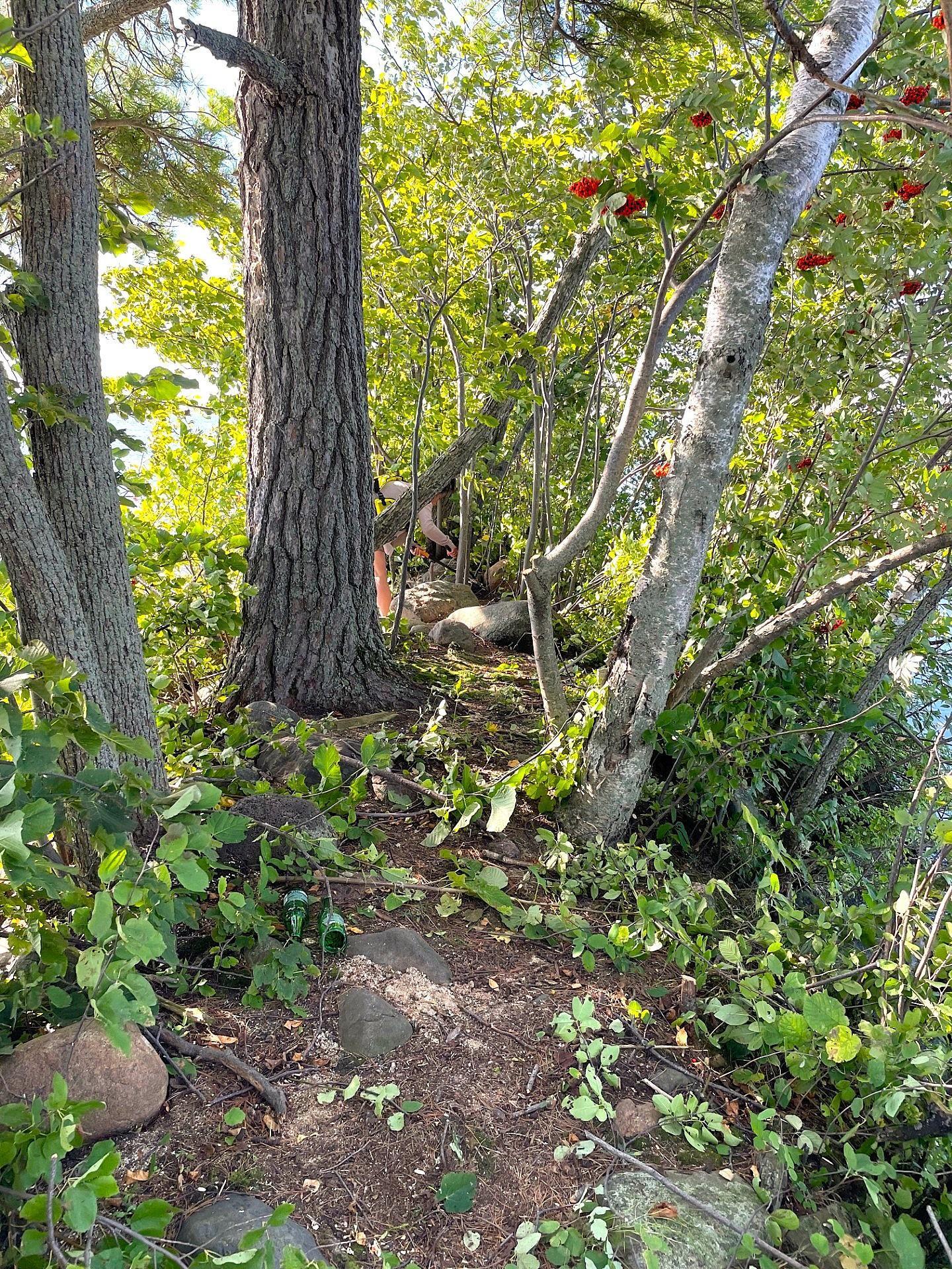 Pine Island, Isle, Minnesota image 7