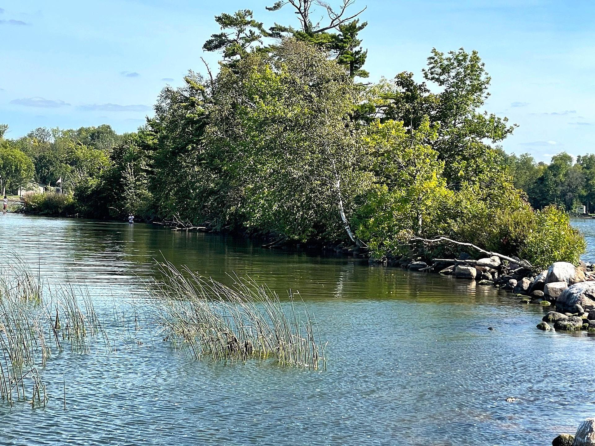 Pine Island, Isle, Minnesota image 8
