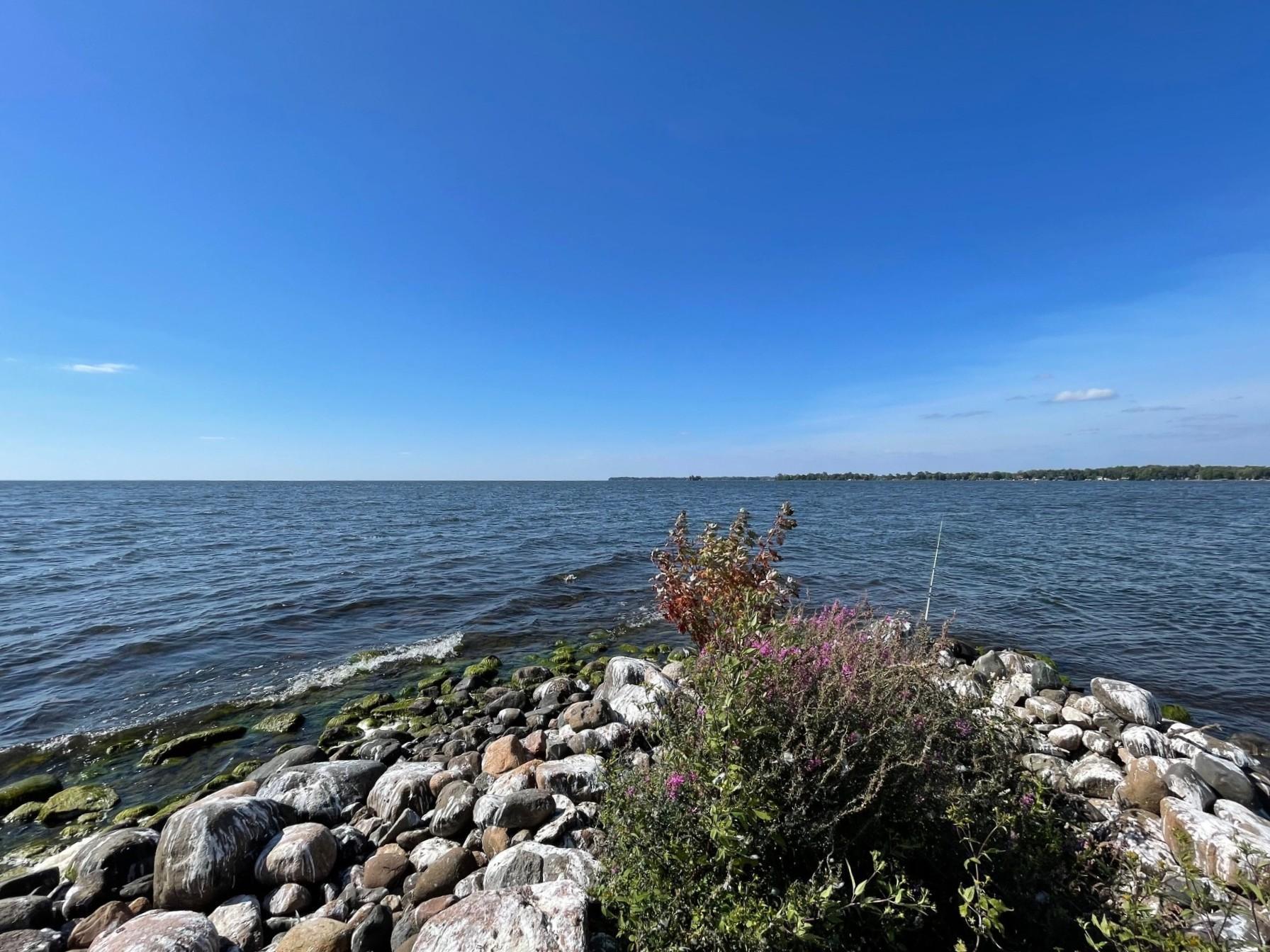 Pine Island, Isle, Minnesota image 5