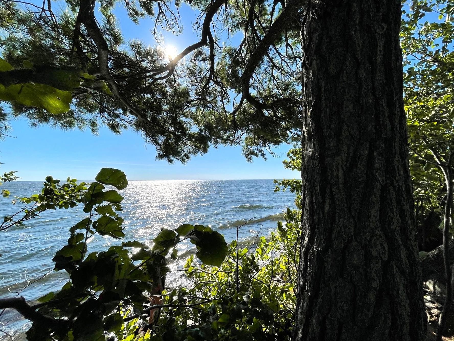 Pine Island, Isle, Minnesota image 14