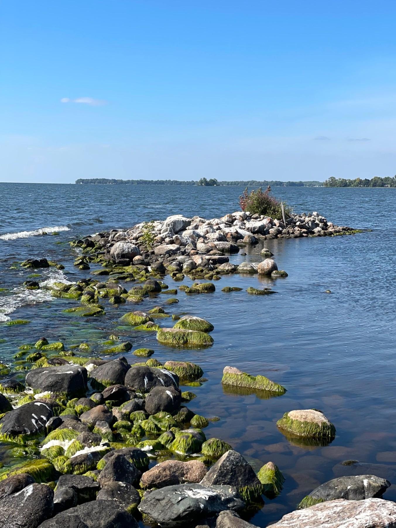 Pine Island, Isle, Minnesota image 2