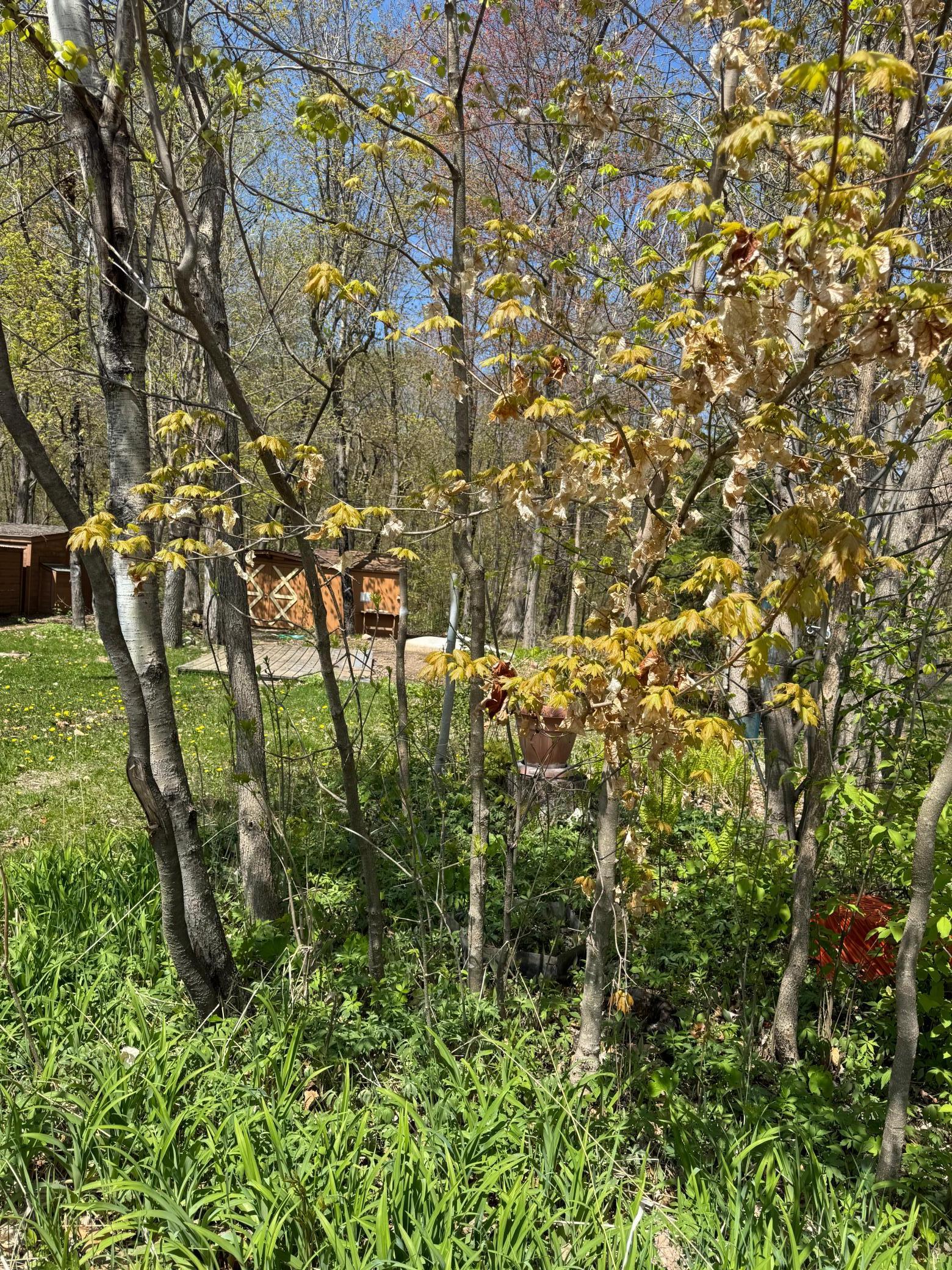 Blk 6 Lot 37 Canterbury Town, Aitkin, Minnesota image 4