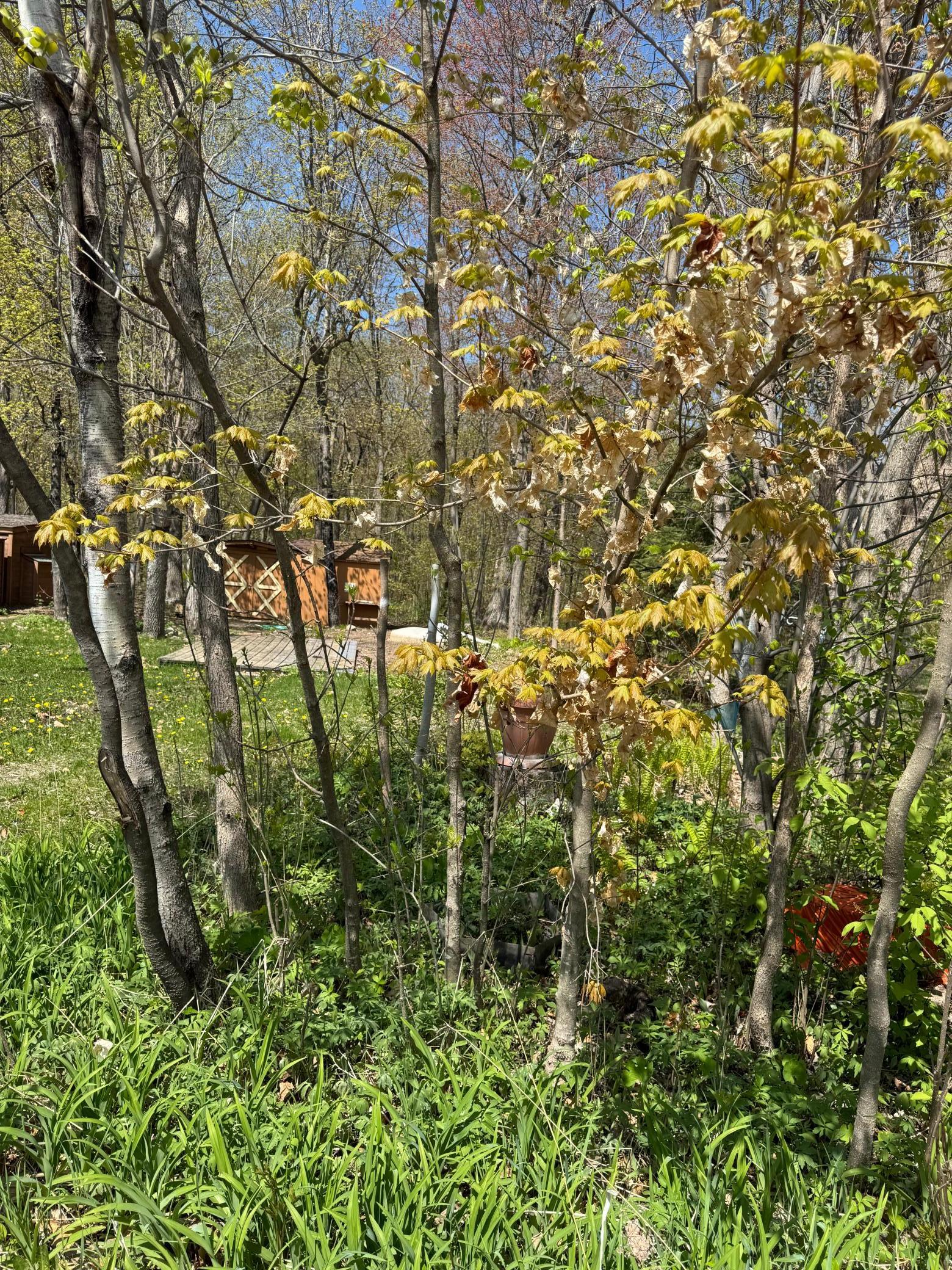 Blk 6 Lot 37 Canterbury Town, Aitkin, Minnesota image 3
