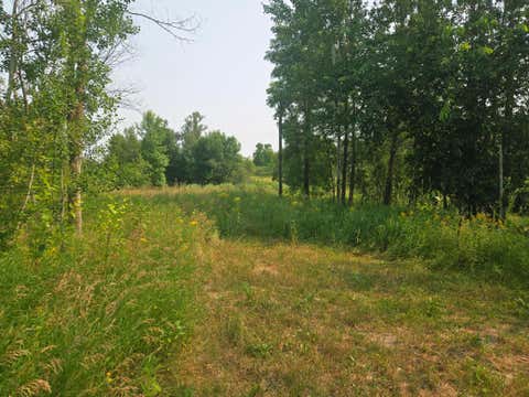Vacant Land For Sale - 183XX 302nd Avenue<br/> Detroit Lakes, MN 56501