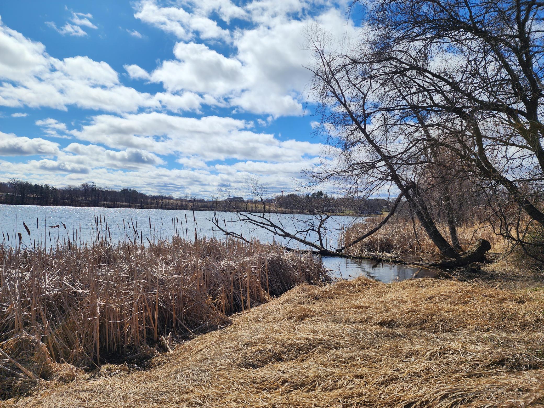 0000 Stark Road, Cambridge, Minnesota image 22