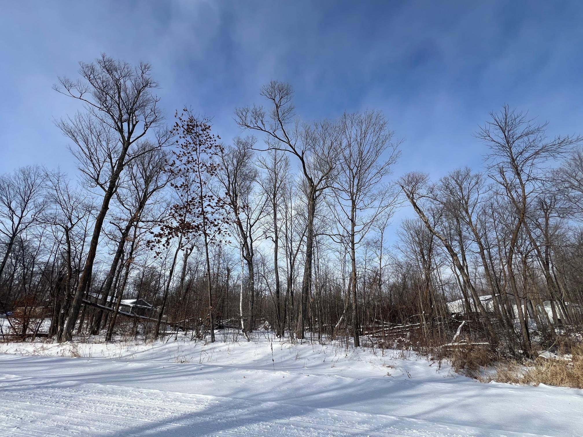 TBD N 183rd Street, Isle, Minnesota image 3