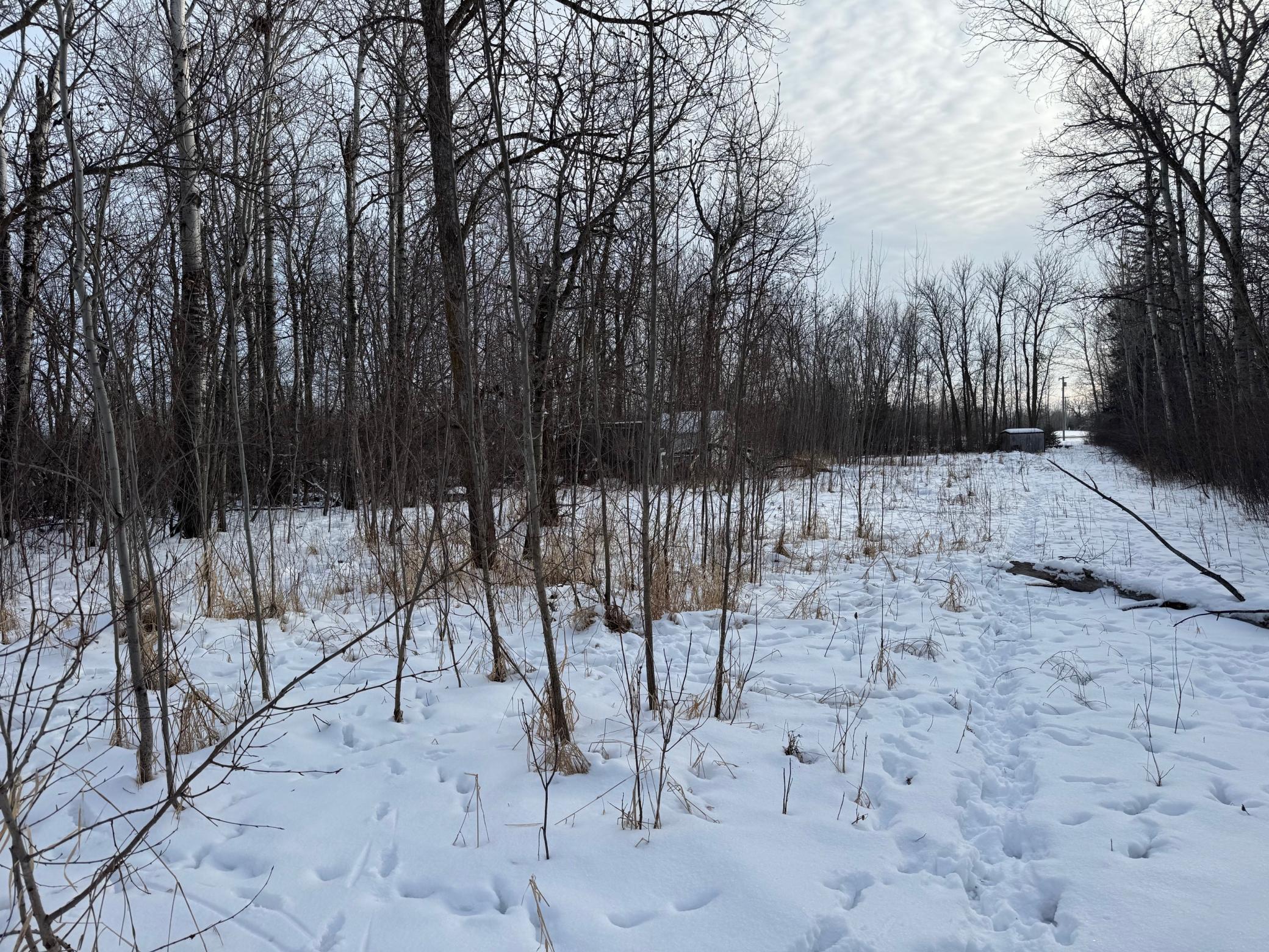 TBD County Road 73, Badger, Minnesota image 3