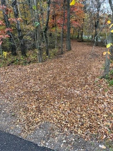 Vacant Land For Sale - LOT 4 Tiger Street<br/> Princeton, MN 55371