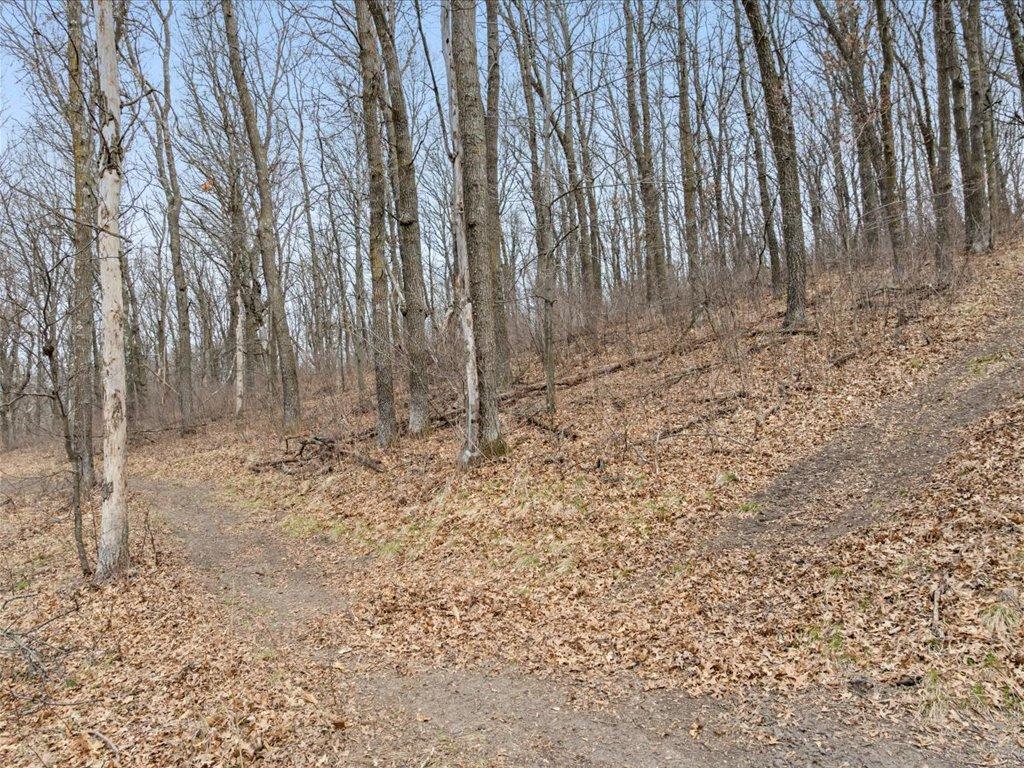3728 Sleepy Hollow Road, Fort Ripley, Minnesota image 43