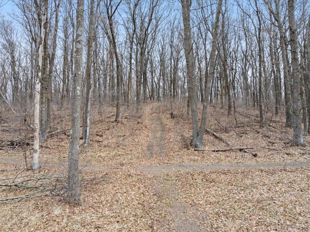 3728 Sleepy Hollow Road, Fort Ripley, Minnesota image 42