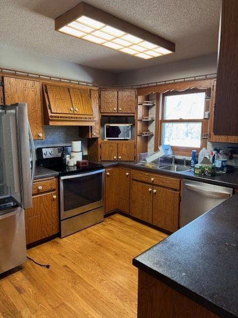37852 161st Avenue, Montgomery, Minnesota image 3