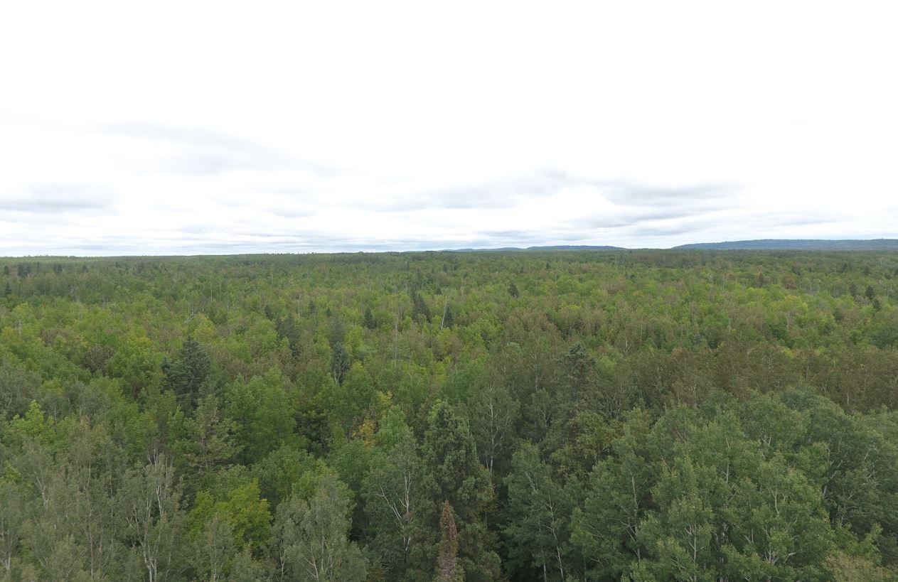 XX40 County Highway 3, Silver Bay, Minnesota image 3