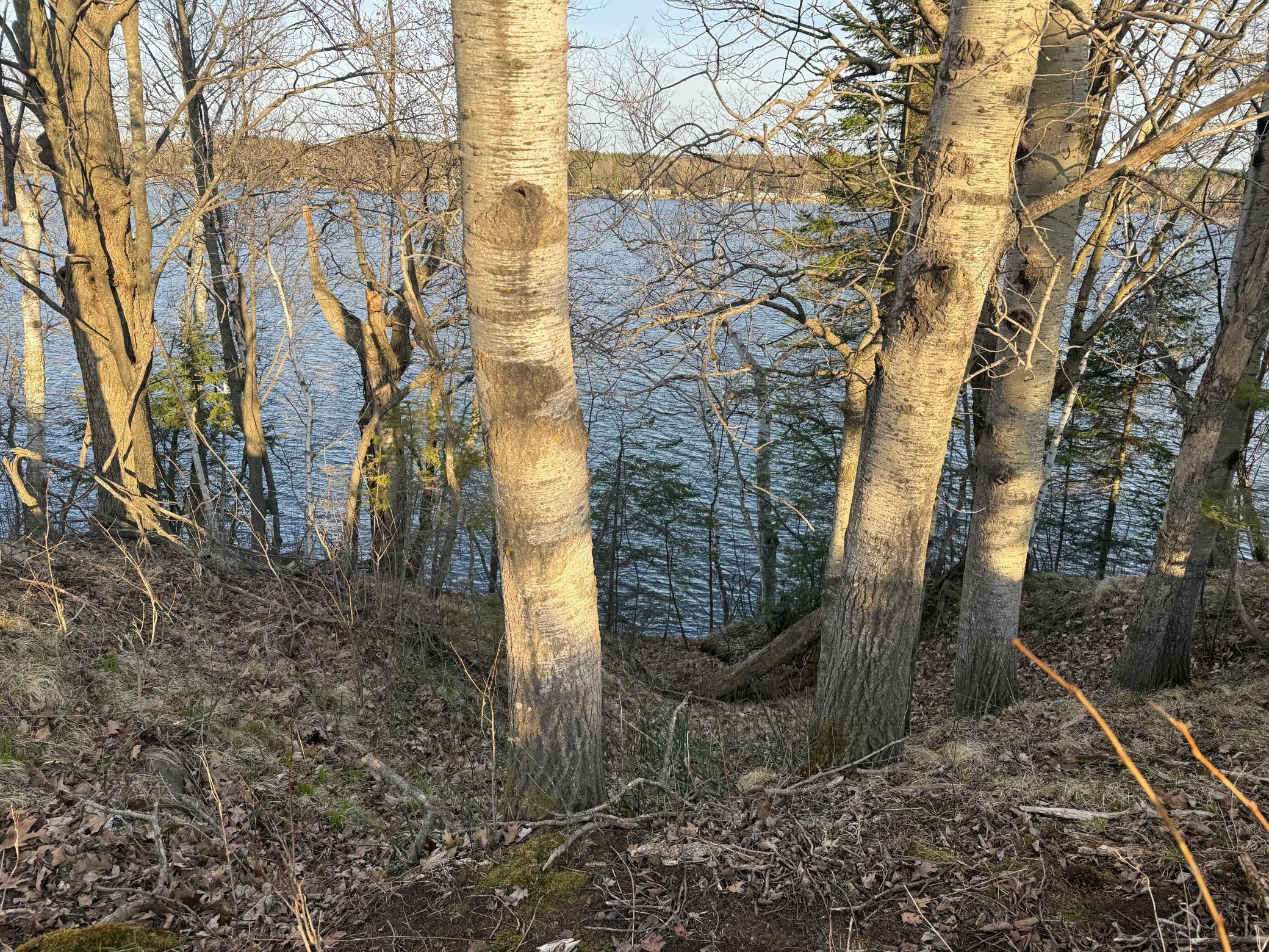 XxA Sprandel Road, Finlayson, Minnesota image 7